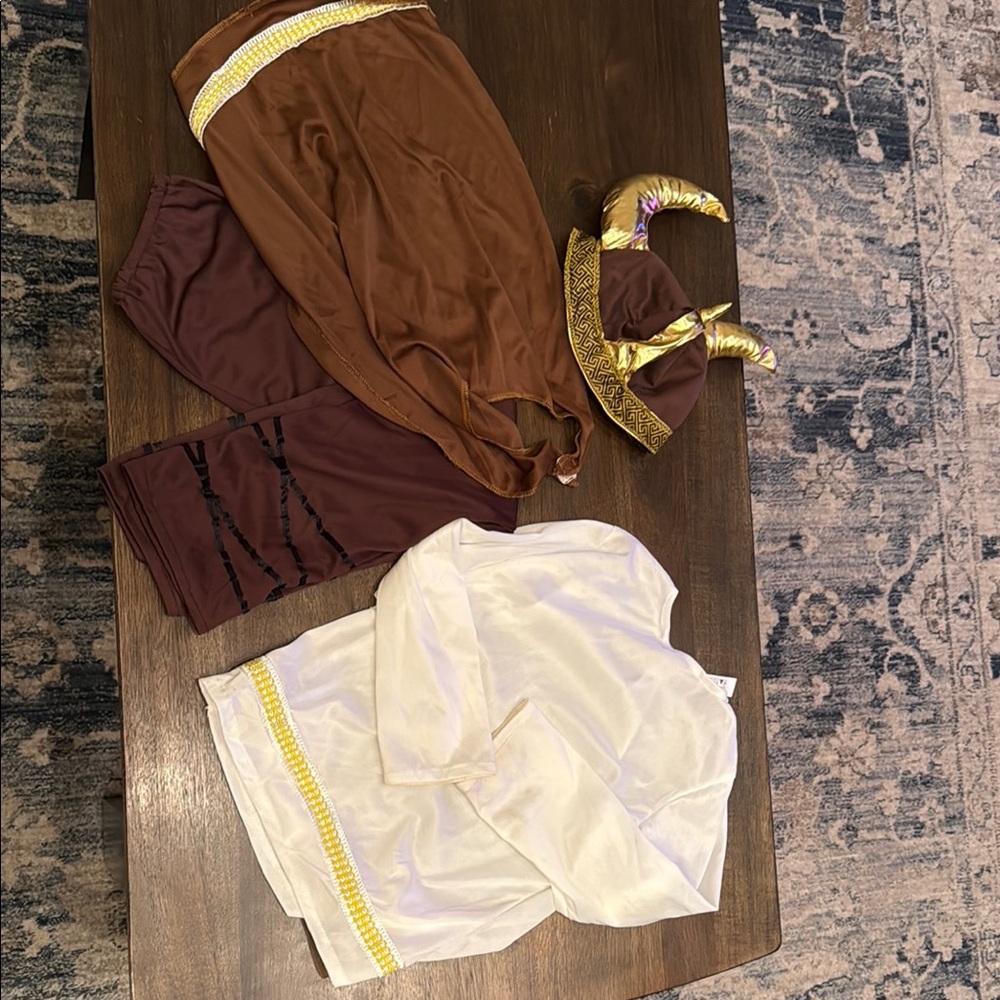 Kids Viking Costume with Brown and Gold Accents size large